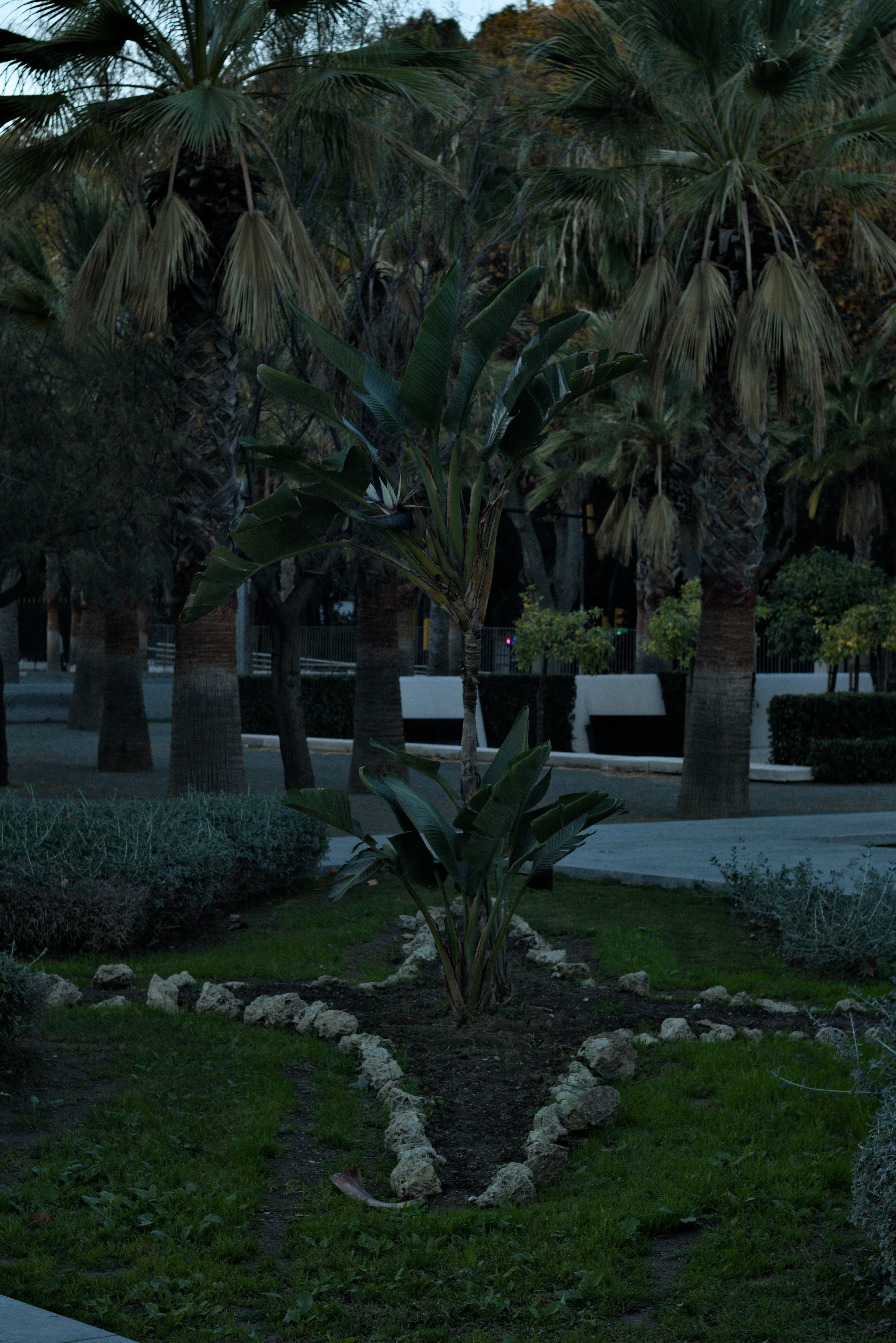 Zenith Helios-77M-4 1,850 (VOMZ) - _I4A5686.webp